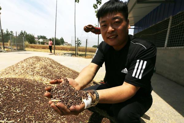 黑小麦酿酒爽口绵柔飘香万里