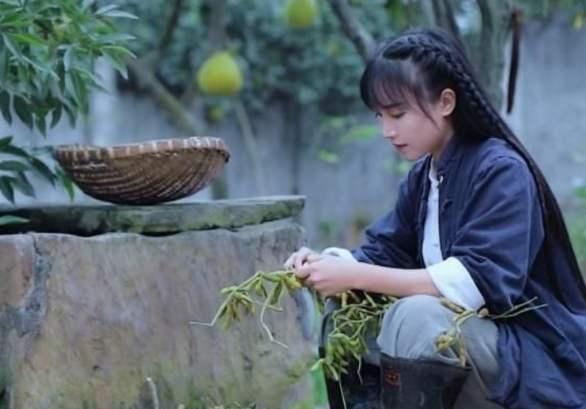 李子柒在海外发布泡菜和端午节粽子视频惨遭举