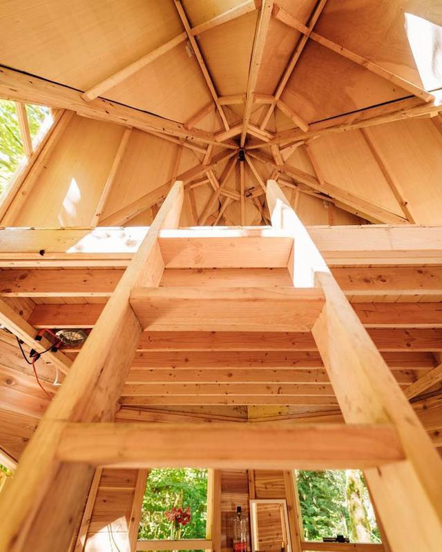 被青苔覆蓋的小木屋｜生態建筑