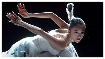 恶评杨丽萍网友视频回应：无意重伤任何人，怒