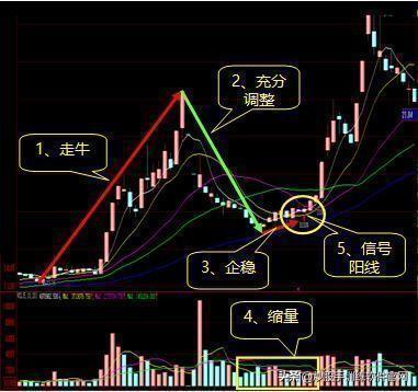 做精一只股，20%资金介入，下跌10%抛，涨20%加仓