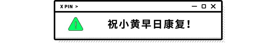 没错，狗也能献血，但被“人”喷闲得慌，说狗不配人的待遇