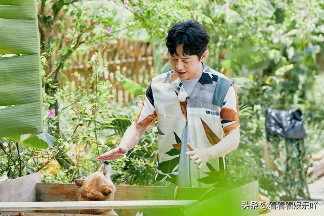 口碑越来越不好的向往的生活，这一期却出奇一致获得好评的原因