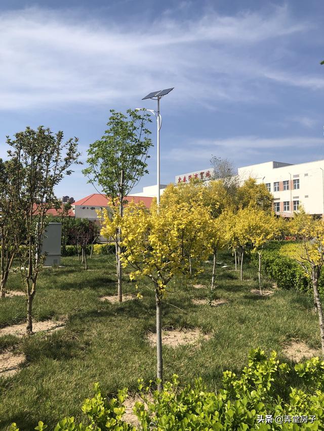 在天津买房，这个板块我劝你慎重考虑 | 系列（