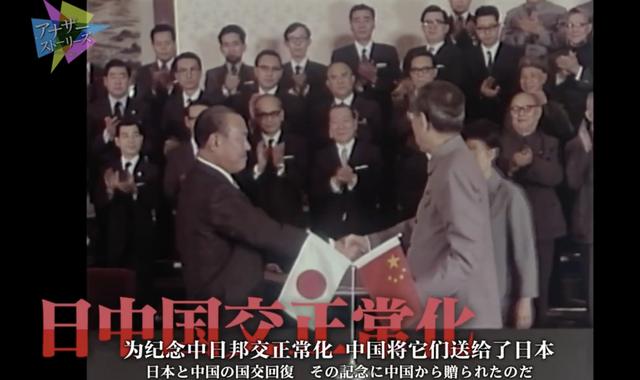 想和熊猫结婚、为看熊猫放弃妹妹婚礼！网友：