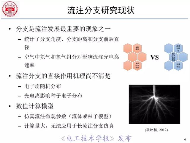 青年學者報告｜湖南大學陳赦：空氣間隙流注分支特性及三維模型