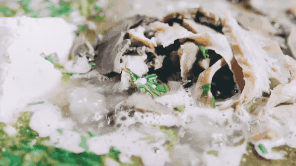 冷吃兔拍了拍“钵钵鸡”，乐山和自贡，谁是你们心里的Top1?