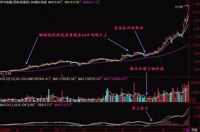 一代“股神”的陨落：像“麻雀”一样炒股,坐着