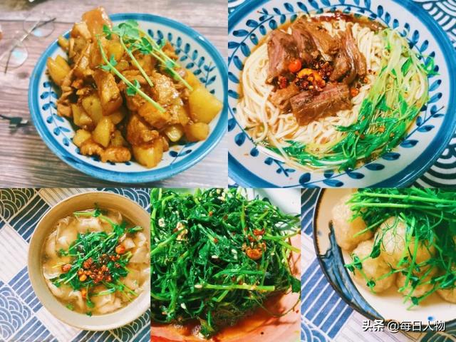 豆苗、番茄、迷迭香，在阳台，你可以种出一百种好滋味