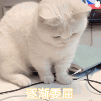 7.24 | 表情包来啦