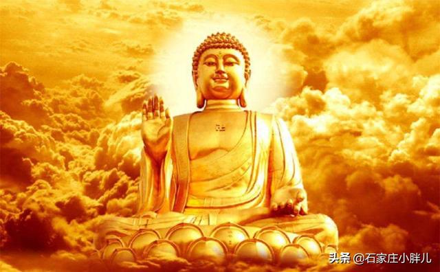 唐僧是金蝉子转世，那金蝉到底是什么？佛教中真实存在吗？