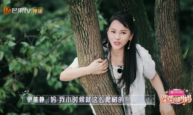 伊能静话太多还玻璃心？节目被秦昊怼后发生争吵，谈原生家庭泪崩