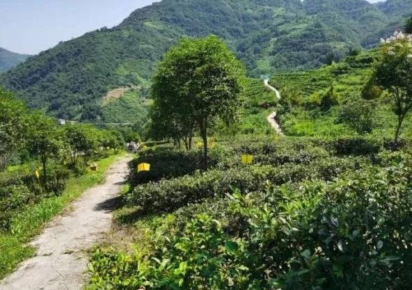 楊凌農(nóng)科，見證小康足跡——2020走出楊凌看示范活動圓滿收官