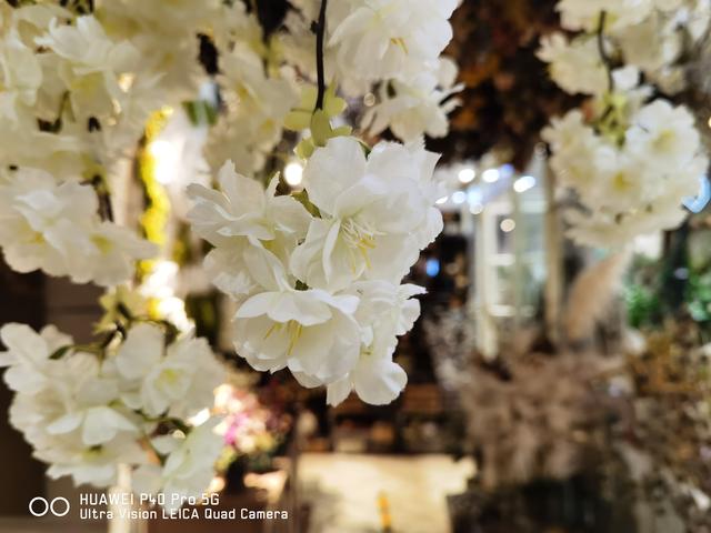 华为P40 Pro体验：用手机拍出好照片，其实真的很