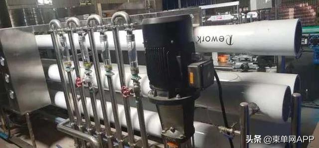 “花了500万，我在西港买了个教训！”