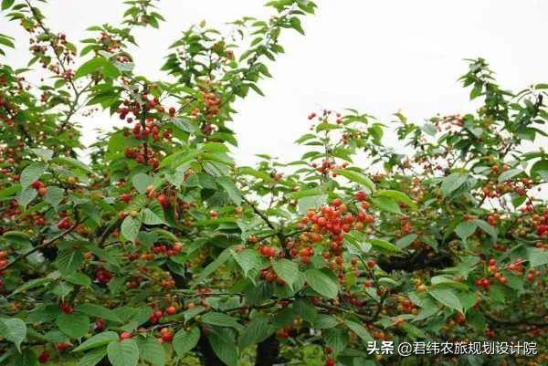 黔北拾味——遵义美食＋民宿体验之旅