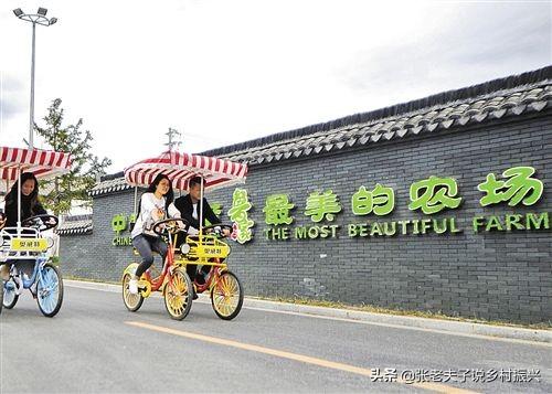 "村集体+公司+家庭农场"为乡村造血模式—浙江安吉鲁家村案例评析