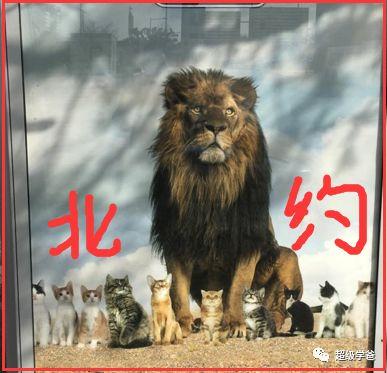 这届猪太难带了——特朗普正式从德国撤军