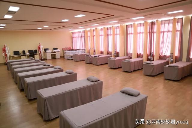 云南医药健康职业学院的康复医学系都有哪些专业？