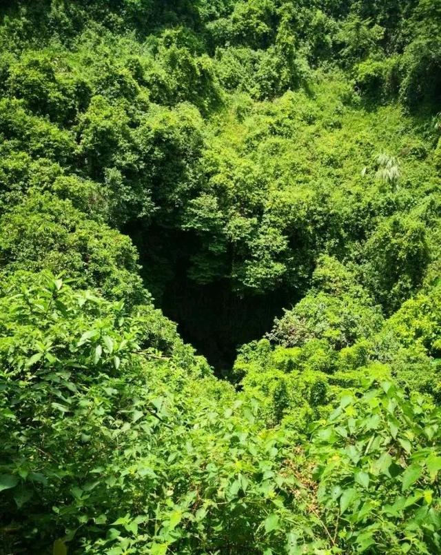三亚1.5h直达！这座全国荔枝第一甜的海滨古城，
