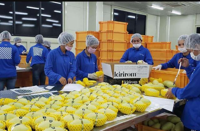柬埔寨大批水果抵华，澳洲货物却惨遭滞销，现