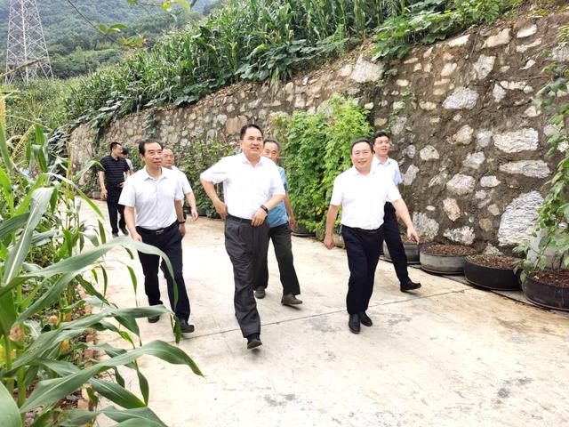 紫阳：检察长陪同县委书记惠军民在向阳镇调研督导脱贫攻坚工作