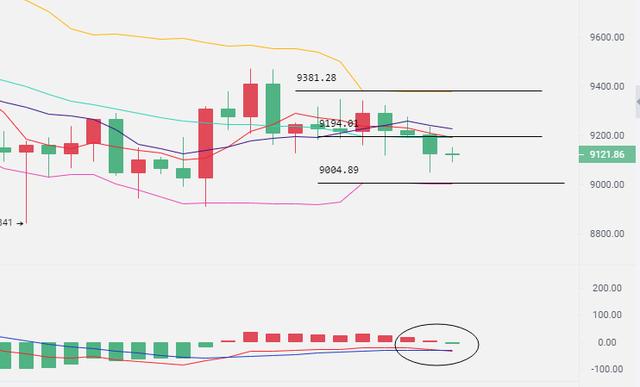 清风指导：比特币多头量能短期支撑不足，币价晚间将迎来再次跳水