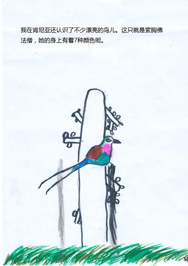 让Jerry蜀黍都羡慕的小小自然摄影师，真的只有10岁