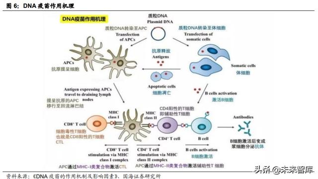 医药生物行业深度报告：新疫苗、新接种率、新时代