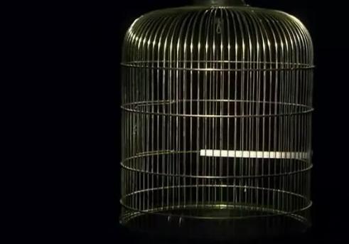 图解《爱妻屋》为了弥补过错，丈夫从神秘商店