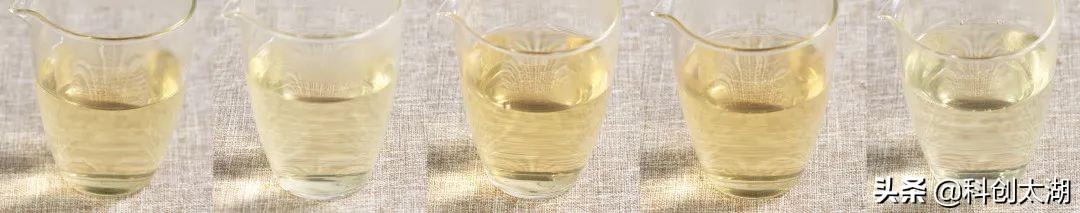 实测5种泡茶用水，哪种让茶最好喝？