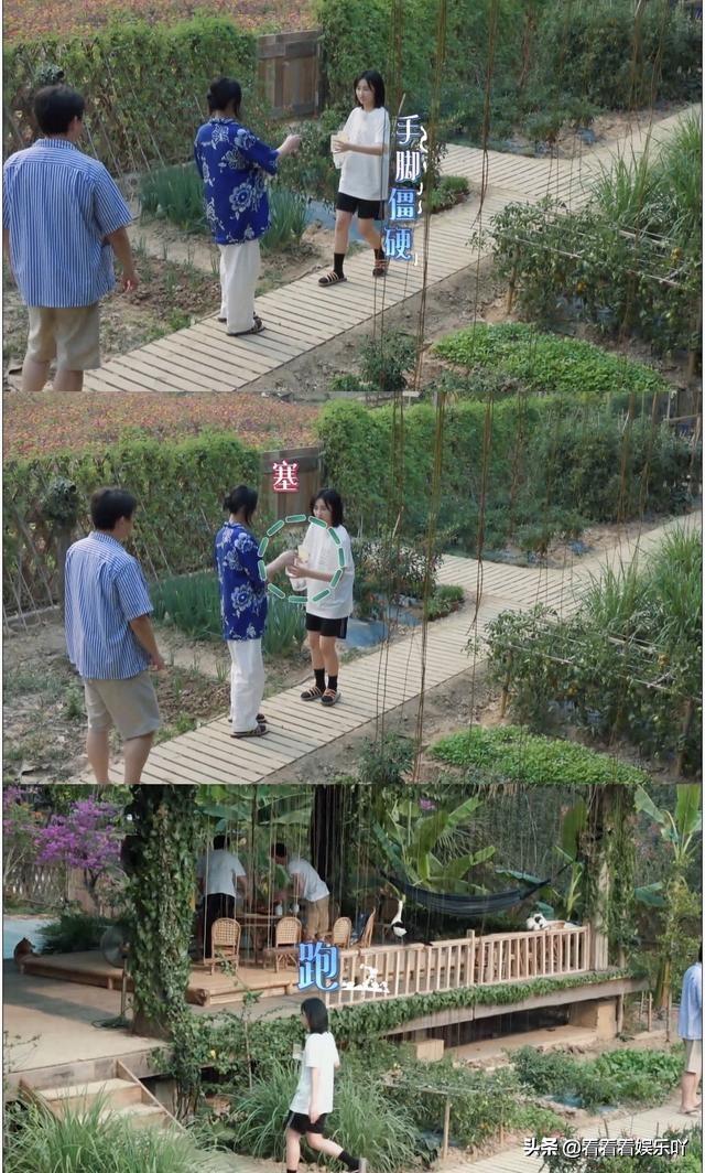 周迅、郭麒麟、张婧仪做客向往的生活，为啥这么吸引人？