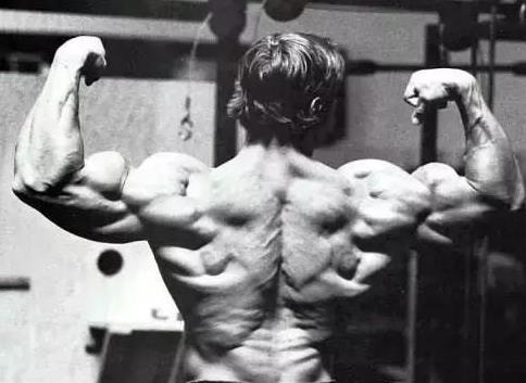 漂亮的背部肌肉，见背识人，你能认出几个呢？