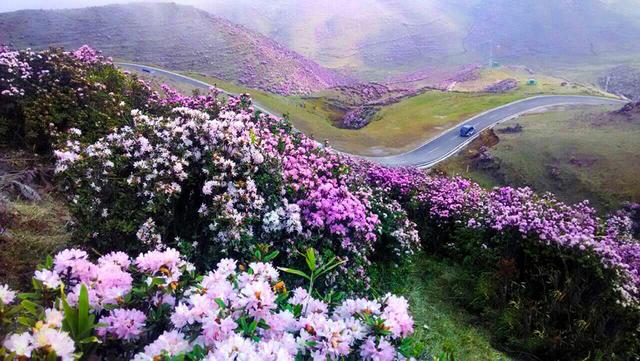 「山里」贵州回应山里有龙吟 专家说出真相让人大跌眼镜