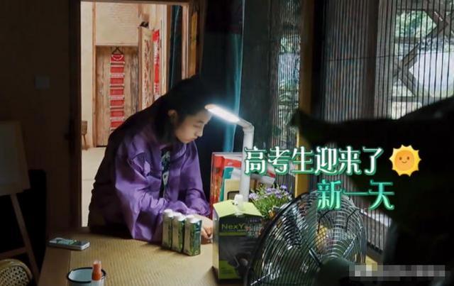 张子枫上节目只顾学习，看清卷子，真学假学一