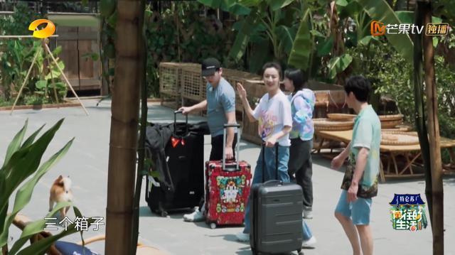 向往4：揭秘带货女王薇娅的直播间，当红小生们看得赞不绝口