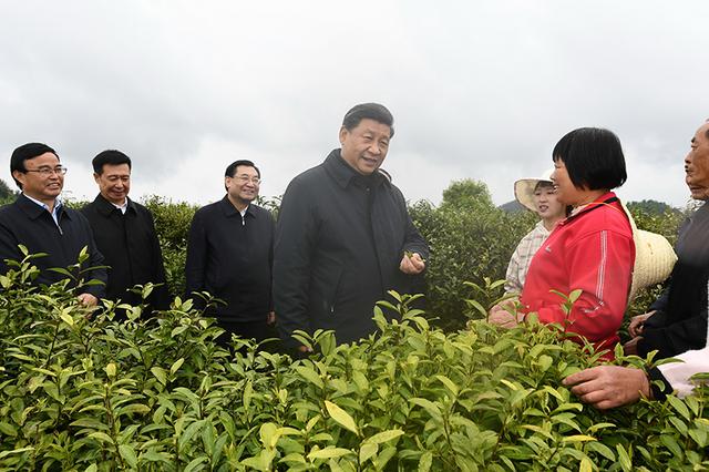 保護生態(tài)環(huán)境，牢記習近平提出的“五個追求”