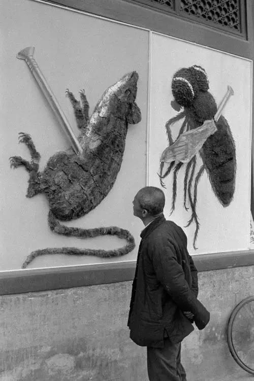 老照片：1958年的中国，你见过亲手杀猪的姑娘吗？