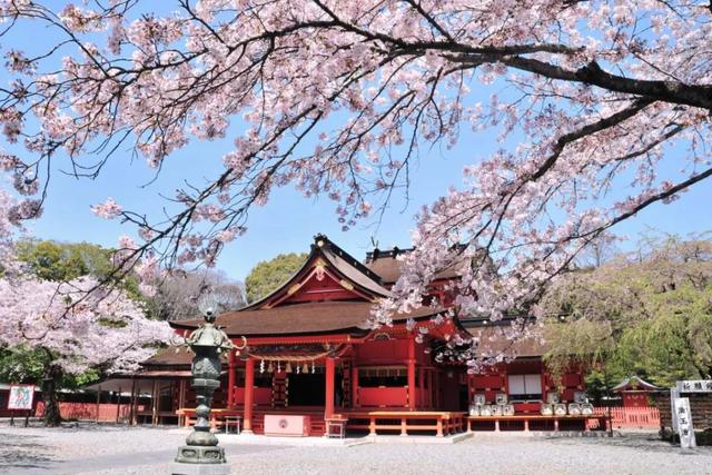 日本最值得去的世界遗产，点开这篇就够了