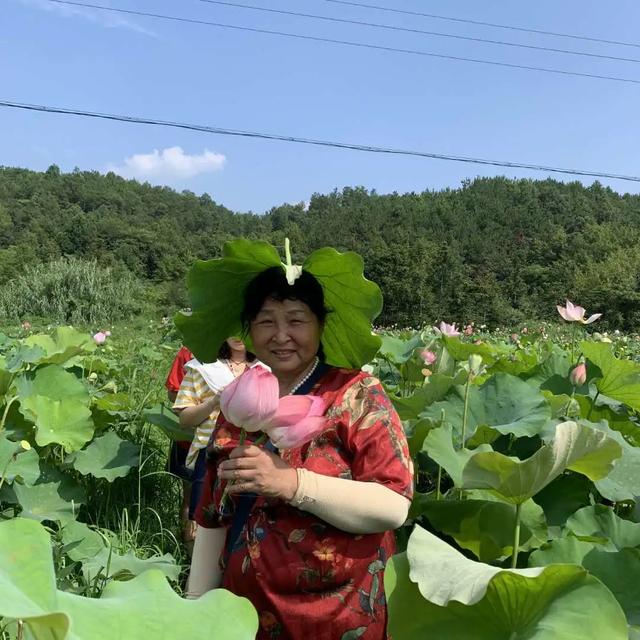 天池雅园夏日赏荷花 采莲蓬之旅