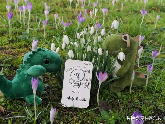 疫情期间的佛系伦敦游-你不在，依然与你同行#在家云旅游#