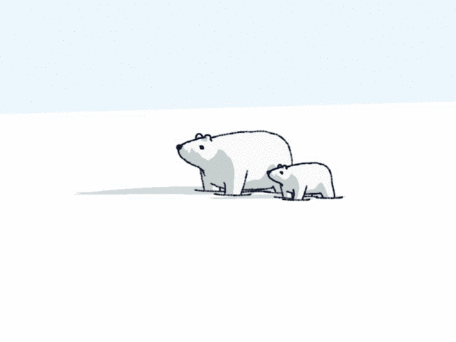 为什么南极没有北极熊？如果把北极熊放到南极能活下来吗？