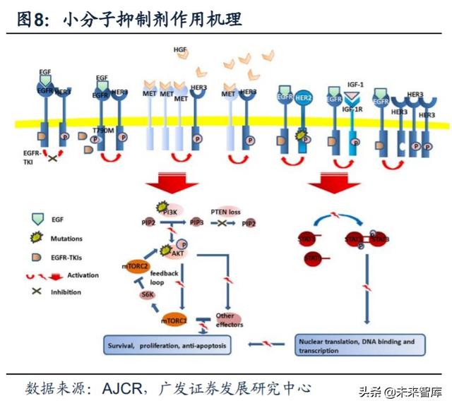医药行业专题：第三代EGFR-TKI药物，第一大癌症造就百亿市场