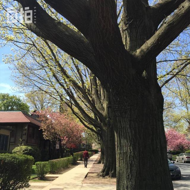 �������������ӣ����ż�����������ƴ������������������������