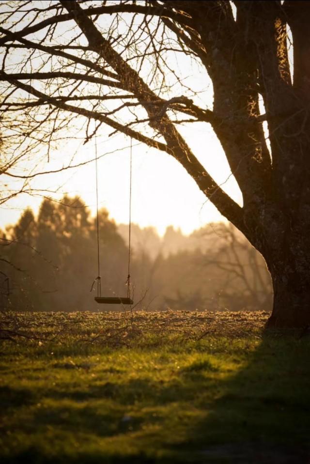 八月|七月，再见！八月，你好！祝你岁月无波澜，敬我余生不悲欢