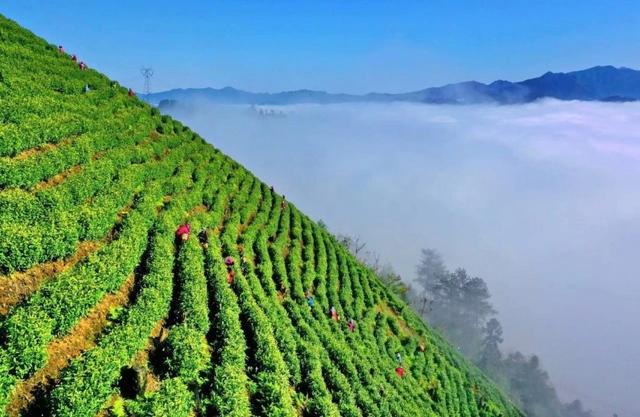 早已等不及迎接五一的你，何不先来看看丹寨的