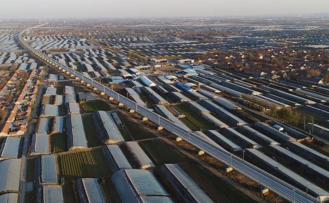 山东，怎么成了地域黑的新目标？