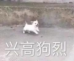 շСá߽񷨵⑯