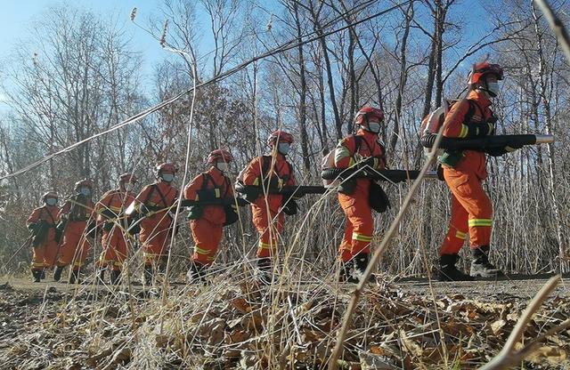 坚守在绿色林海中的火焰蓝