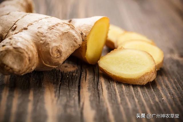 园子里的中医药︱三重门